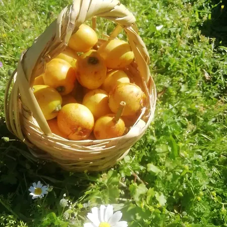 Bahar Bahce Datca Resort 3*