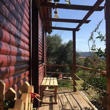 Bahar Bahce Datca Mesudiye (Datca)