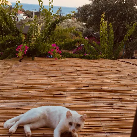 Bahar Bahce Datca Resort 3*