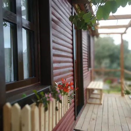 Complex Bahar Bahce Datca 3*