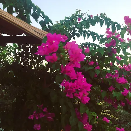 Bahar Bahce Datca Resort 3*