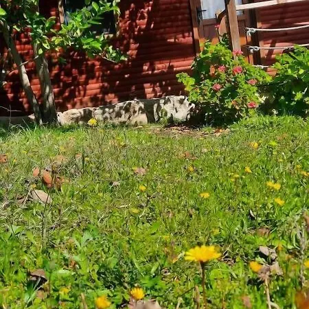 Bahar Bahce Datca Complex 3*