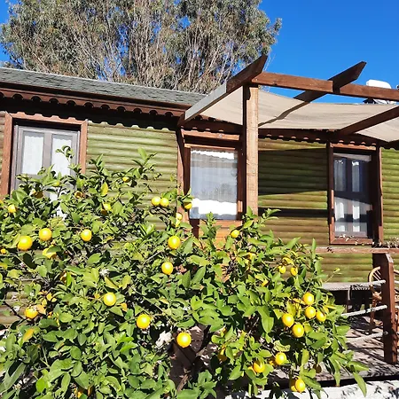 Resort Bahar Bahce Datca Mesudiye (Datca)