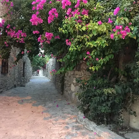 Bahar Bahce Datca Complex Mesudiye (Datca)