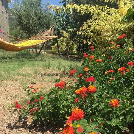 Bahar Bahce Datca 3*