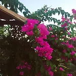 Bahar Bahce Datca Feriested 3*