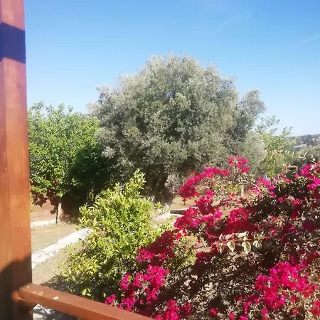 Resort Bahar Bahce Datca