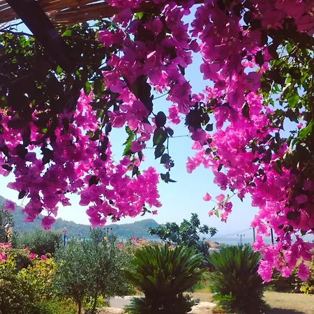 Bahar Bahce Datca אתר נופש 3*