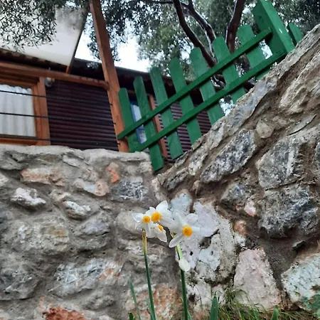 Bahar Bahce Datca
