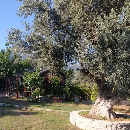 Resort Bahar Bahce Datca 3*