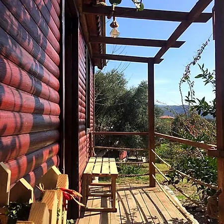 Bahar Bahce Datca Mesudiye (Datca)