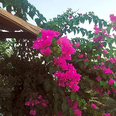Bahar Bahce Datca Resort 3*