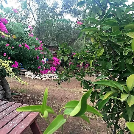 Bahar Bahce Datca