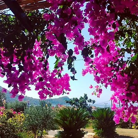 Resort Bahar Bahce Datca 3*
