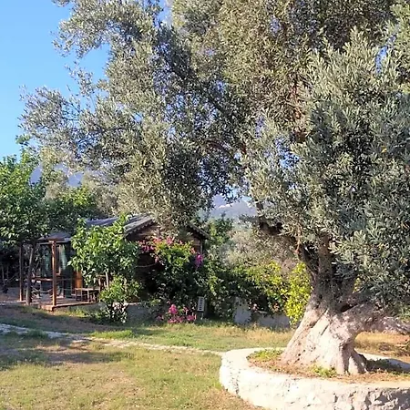 Bahar Bahce Datca Resort Mesudiye (Datca)