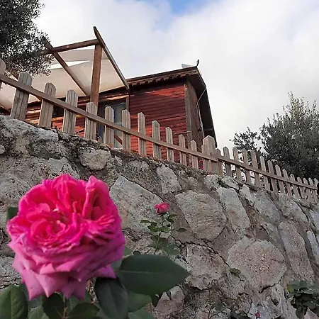 Resort Bahar Bahce Datca Mesudiye (Datca)