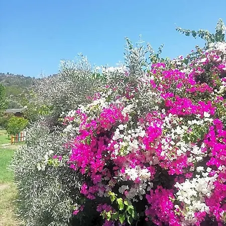 Resort Bahar Bahce Datca 3*