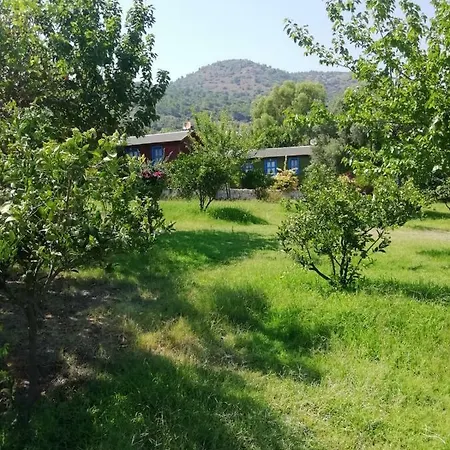 Bahar Bahce Datca 3*