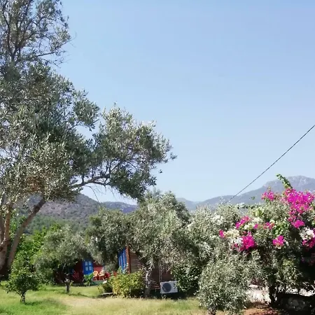 Bahar Bahce Datca 3* Mesudiye