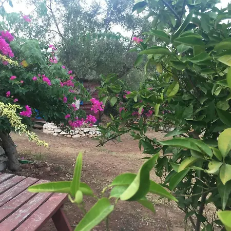 Bahar Bahce Datca 3* Mesudiye