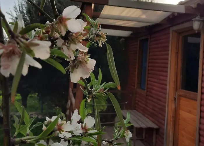 Bahar Bahce Datca 리조트 3*